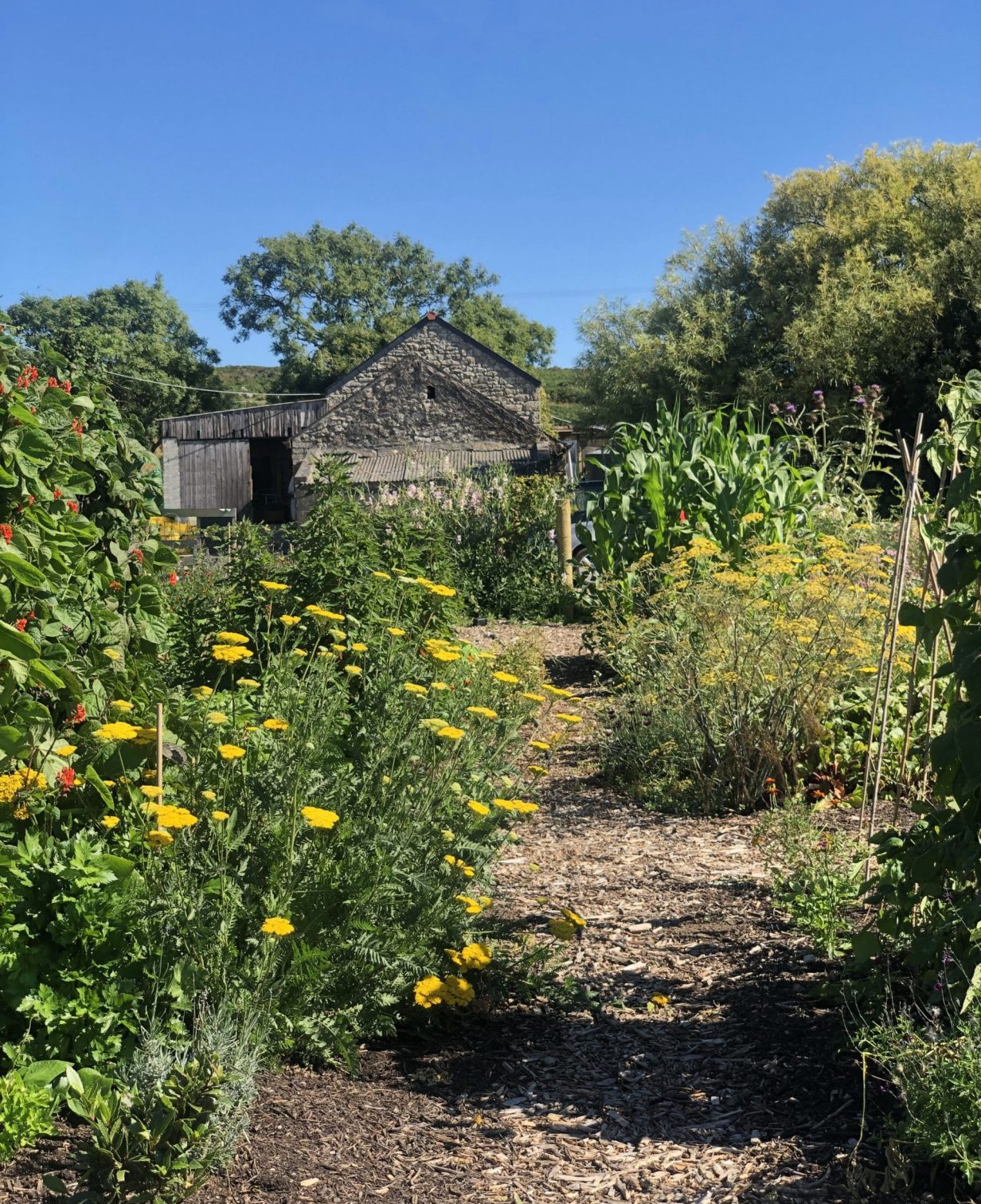 veg bed path final